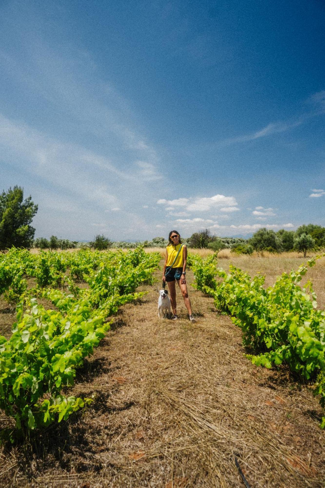Eumelia Organic Agrotourism Farm Otel Goúvai Dış mekan fotoğraf