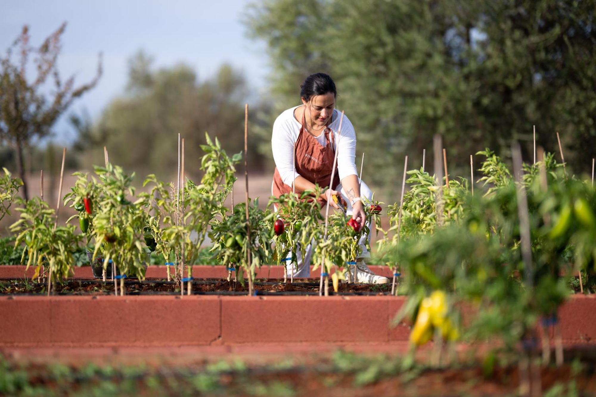 Eumelia Organic Agrotourism Farm Otel Goúvai Dış mekan fotoğraf